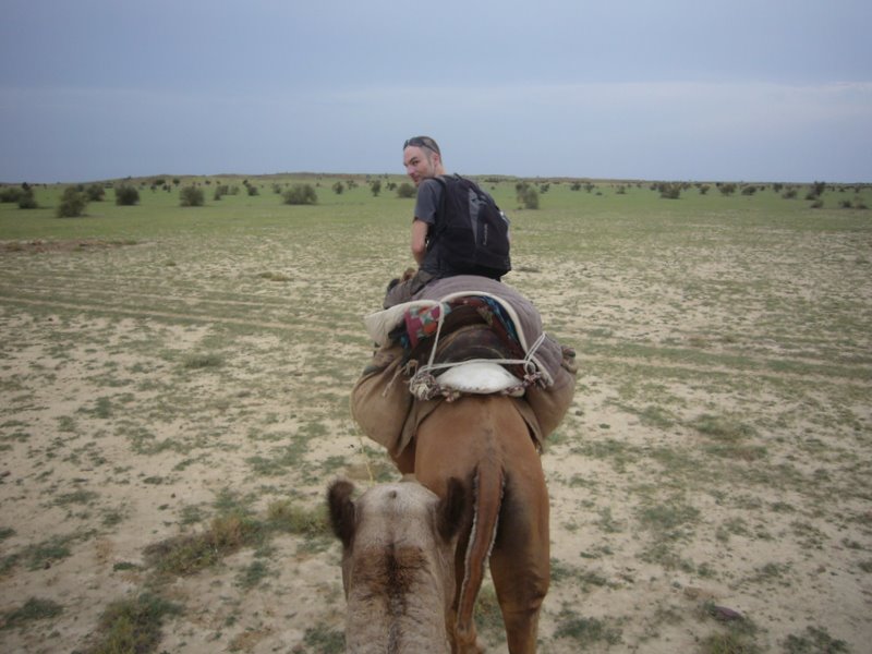 Travel - India - Rajasthan - Desert Camel Trip - Camel Safari